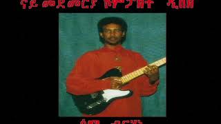 Sami Berhane ሳሚ ብርሃነ Ensisatatna እንስሳታትና Official Audio [upl. by Anirrok]