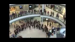 An unforgettable flash mob sings [upl. by Anirres56]