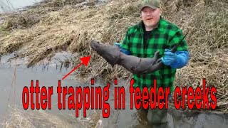 how to trap otter for beginners tricks [upl. by Tlihcox427]