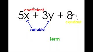 Coefficients Constants Variables amp Terms [upl. by Amalia]