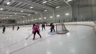 Olivia Blue 16 Fighting Flamingos Pink  PP Goal1 [upl. by Theis850]