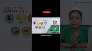 මී උණ ඇත්තටම මාරාන්තිකද leptospirosis httpsyoutubeqsgbHKEfJQY [upl. by Ecirehs840]