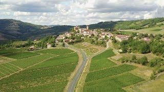 Ma région toute une histoire  les Pierres dorées en Beaujolais [upl. by Oad12]