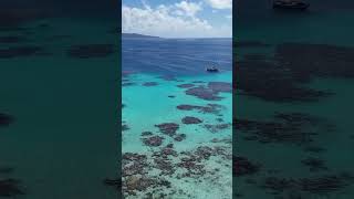 Reef Life Gambier French Polynesia adventure ocean drone [upl. by Anerrol157]