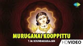 Muruganai Kooppittu  முருகனை கூப்பிட்டு  Tamil Devotional Video  TMS  Murugan Songs [upl. by Leaffar]