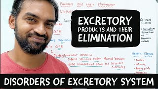 Disorders of Excretory system  Excretory products and their elimination [upl. by Sparkie]