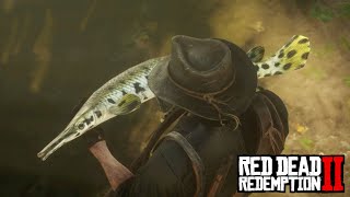 Red Dead Redemption 2  Legendary Longnose Gar Location amp Catch [upl. by Sayette108]