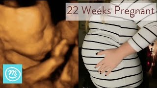 22 Weeks Pregnant What You Need To Know  Channel Mum [upl. by Frye355]