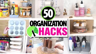 50 BEST Dollar Tree Organization HACKS EASY ways to get organized in 2024 [upl. by Nwadrebma]