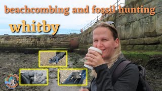 beachcombing Whitby and fossils [upl. by Indnahc]