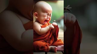 Little monk is so cute deikka Laisi Koya Dimu trending littlemonk foryou shortvideos viral [upl. by Nimsay76]