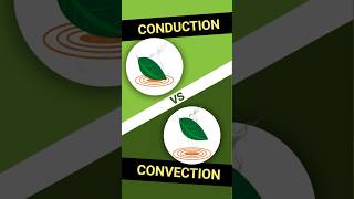 Conduction VS Convection Vaporizers  Whats the Difference 🤯 [upl. by Aihsela606]