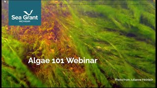 Michigan Algae 101 Webinar 2024 [upl. by Netram]