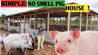 Cost Of Building NoSMELL PIG HOUSE  Simple And Secure [upl. by Eirrab361]