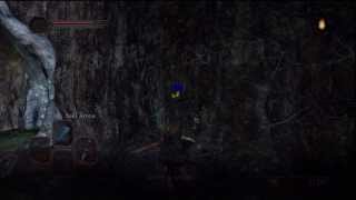 Dark Souls 2 How To Find Snuggly The Crow  Snuggly Crows Location [upl. by Louise]