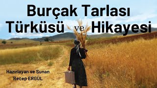 Burçak Tarlası Türküsü ve Hikayesi [upl. by Tamara52]