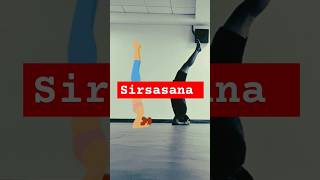 Sirsasana benefits yogapose poweryoga yoga yogapractice newsong shorts health workout [upl. by Lenneuq]