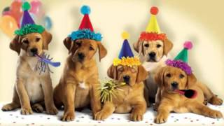 Cute Dogs Bark the Happy Birthday Songmp4 [upl. by Retswerb]