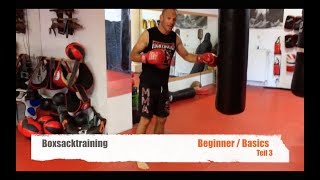 BOXSACK TRAINING BEGINNER TEIL 3 mit Guido Wedekind [upl. by Jez]