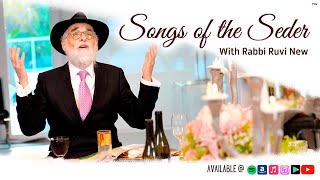 Passover Music • Songs of the Seder 23 of the Most Popular Songs of Pesach with Rabbi Ruvi New [upl. by Ynogoham55]