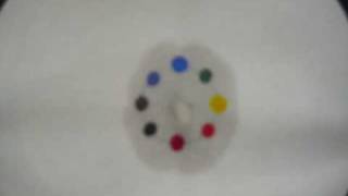 Chromatography Permanent Marker in Water [upl. by Lisette627]