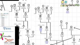 genealogy work on genopro [upl. by Anasor286]