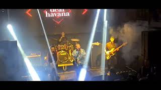 Deaf Havana live  Burn it Down Festival 2022 [upl. by Nivan475]