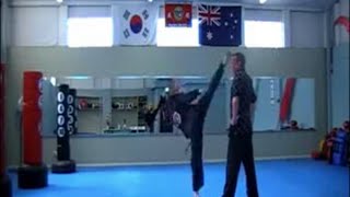 Grandmaster Boseong Kwon Kicking accuracy Demonstration [upl. by Nymrak]