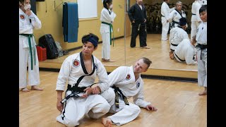 Introduction to Hapkido Pt 3 [upl. by Murdoch]