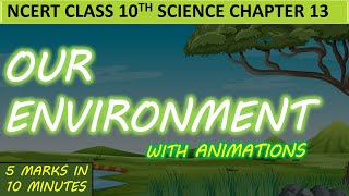 Our Environment Science Chapter 13  Class 10 NCERT with Animations [upl. by Lithea]