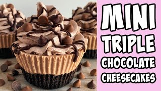 Mini Triple Chocolate Cheesecake Recipe tutorial Shorts [upl. by Asyla]