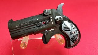 Noris Twinny Kaliber 9mm RK Review  Schusstest [upl. by Haff808]