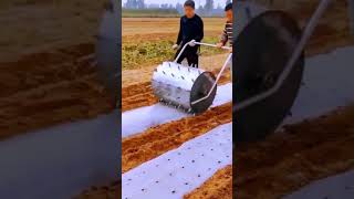 Smart Idea Technique to Perforate Plastic Mulch Quickly satisfying shorts [upl. by Elayor399]