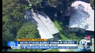 Gator attacks elderly woman in Orlando [upl. by Burd916]