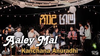 Aaley Mal  ආලේ මල්   Kanchana Anuradhi live  තිසාවැවේ නාදගම [upl. by Booker276]