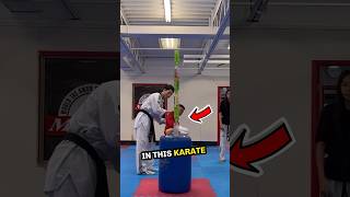 Karate Masters Impossible Challenge🎉💥 shorts [upl. by Taddeo]