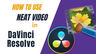 Neat Video in Resolve Quick Start Guide [upl. by Ellinad]