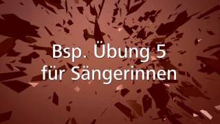 WarmUp Gesangsübungen für Sänger Aufwärmübungen [upl. by Itsrejk]