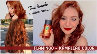 TONALIZANDO O RUIVO COM FLAMINGO  DICAS  Ariane Miranda [upl. by Breech]