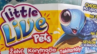 Cobi  Little Live Pets  Interaktywny Niebieski Żółw Gwiazda z Basenem  28046  MegaDyskontpl [upl. by Eecrad564]