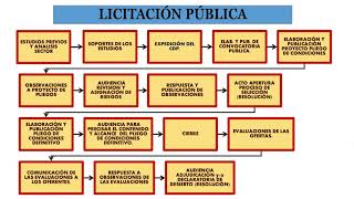 LICITACIÓN PÚBLICA PASOS Y TIEMPOS [upl. by Emanuela866]