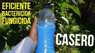 4 FUNGICIDA Y BACTERICIDA ECOLÓGICO CALDO BORDELÉS ¿CÓMO PREPARARLO ¿EN QUÉ CULTIVO SE APLICA [upl. by Einnob]