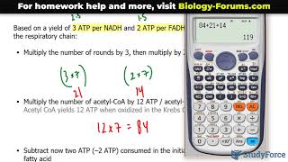 How to calculate the number of ATP molecules produced during beta oxidation Odd chain [upl. by Jada]