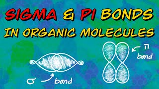 Sigma and Pi Bonds in Organic Molecules [upl. by Doersten]