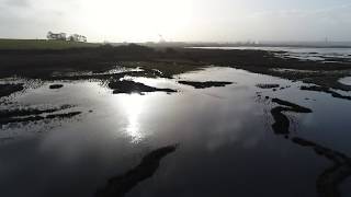 FLOODED Salt Marsh 2018 [upl. by Ynor]