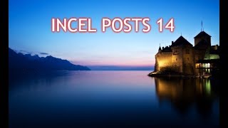 Incel Posts 14 [upl. by Namyac]