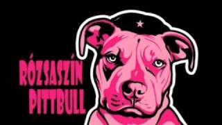 Rózsaszín Pitbull  Édes picsám vess tüzet [upl. by Yarehs]