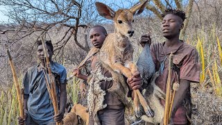 Hadzabe Tribe  See How Hadzabe Catch And Eat Their Food [upl. by Thill974]