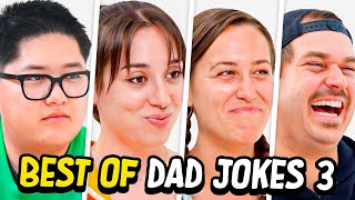 Dad Jokes  Dont laugh Challenge  Best Moments 3  Raise Your Spirits [upl. by Myna]