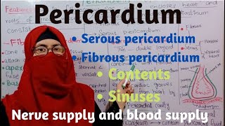 Pericardium  layers sinuses of pericardium  contents nerve supply blood supply thorax anatomy [upl. by Konopka13]